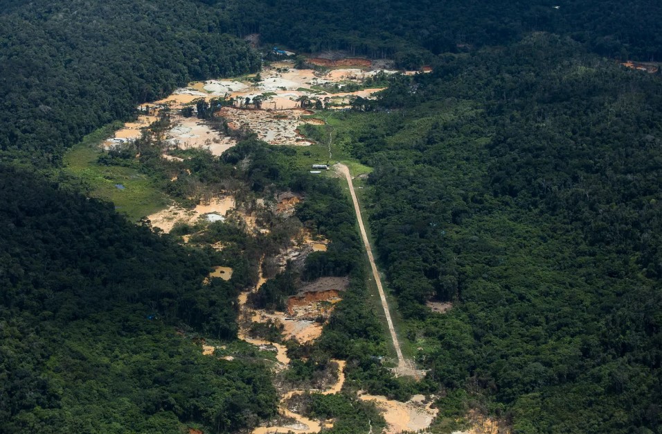 MAPBIOMAS: Estudo indica 201 pistas de pouso ilegais em terras indígenas na Amazônia