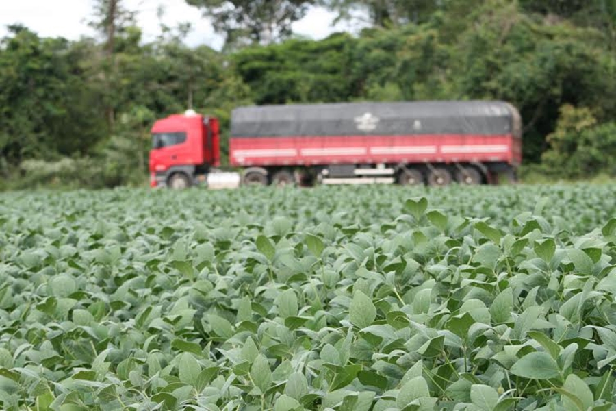 AGRICULTURA: Governo prevê novo prazo para calendário de plantio de soja no Estado