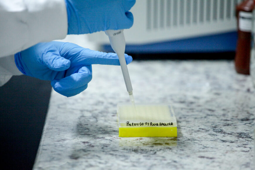 POLITEC: Buscas com DNA é fortalecida pelo governo de RO