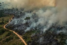 DEVASTAÇÃO: Porto Velho está no epicentro do desmatamento na Amazônia