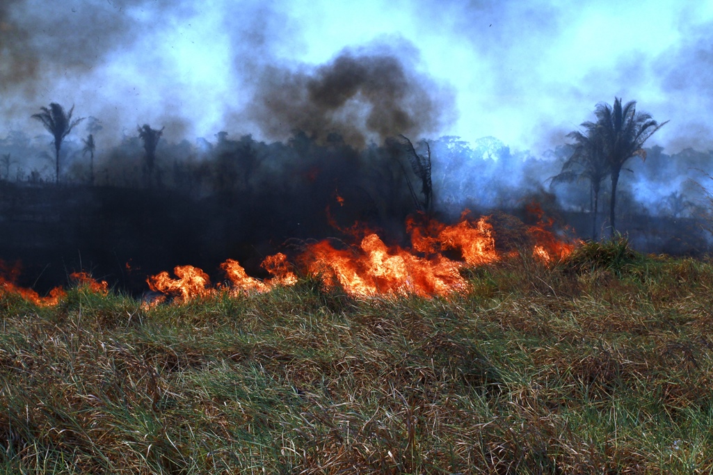 DESTRUIÇÃO: Floresta pega fogo em Rondônia e Sedam não divulga informações corretas