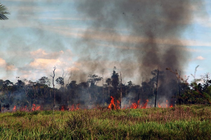 DESMATAMENTO E INCÊNDIOS: Termo de Cooperação estabelece monitoramento e fiscalização