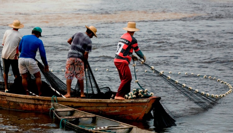 PESCA: Começa hoje o período de defeso de oito espécies de peixes amazônicos