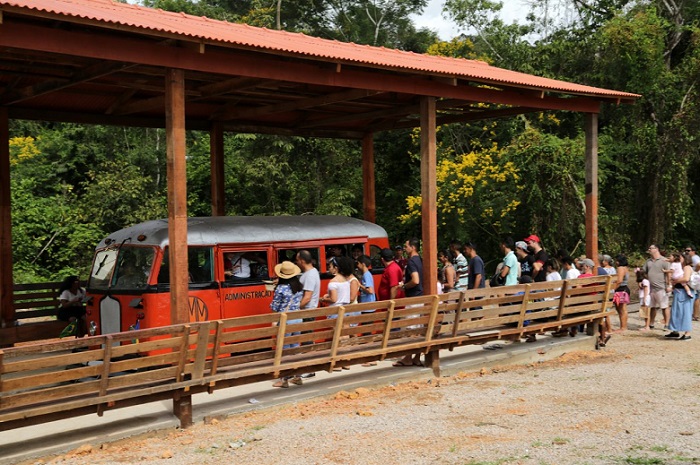 PASSEIO HISTÓRICO: Com mais de 100 anos, litorina volta a andar nos trilhos da Estrada de Ferro