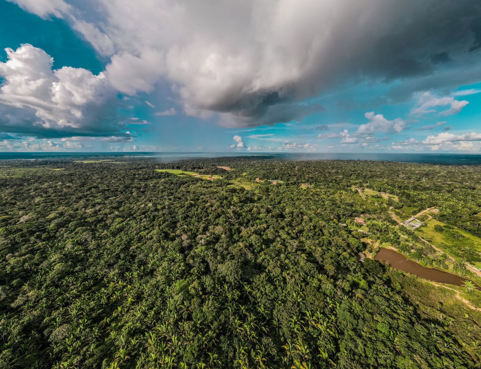 NATUREZA: Prefeitura fortalece política de preservação ambiental e foca na economia verde