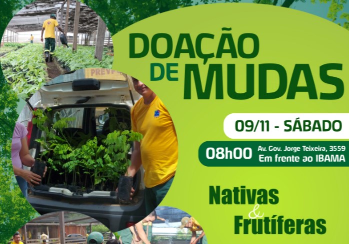 MEIO AMBIENTE: Ibama realiza doação de mudas nativas e frutíferas produzidas pelo Prevfogo