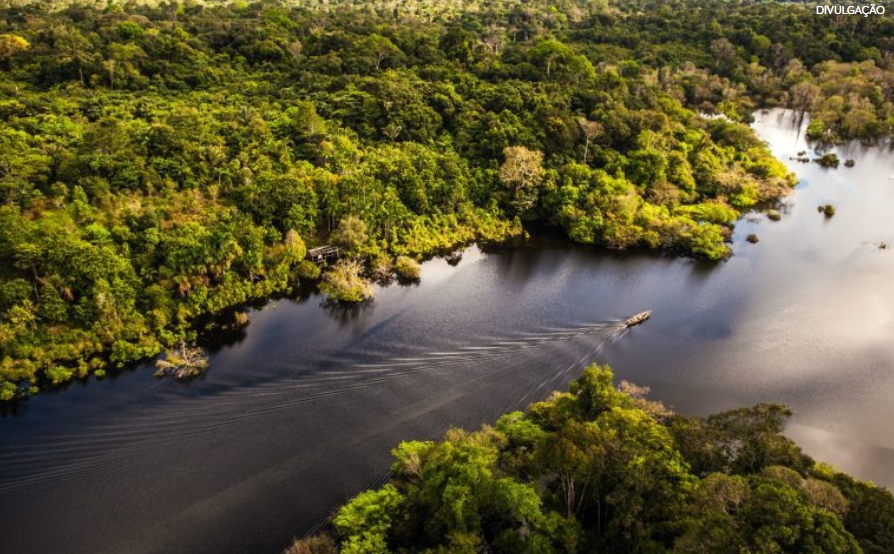 AMAZÔNIA: Rios estão até quatro metros acima dos níveis registrados em 2024