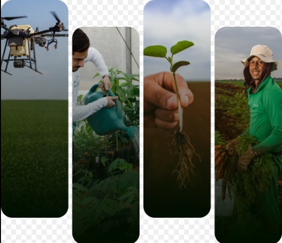 SENAR: Abertas inscrições com vagas para Cursos Técnicos de Nível Médio em RO