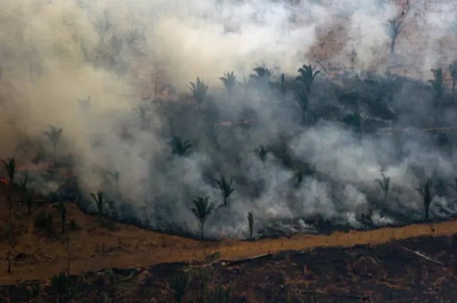 DEVASTAÇÃO: Amazônia lidera número de queimadas de janeiro a julho de 2022