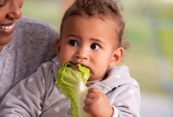 SAÚDE: Pediatras advertem contra dieta vegana para crianças de até dois anos