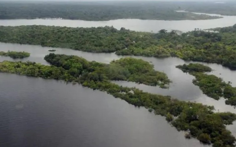AMAZÔNIA: Soluções para manter a floresta passam por remuneração 