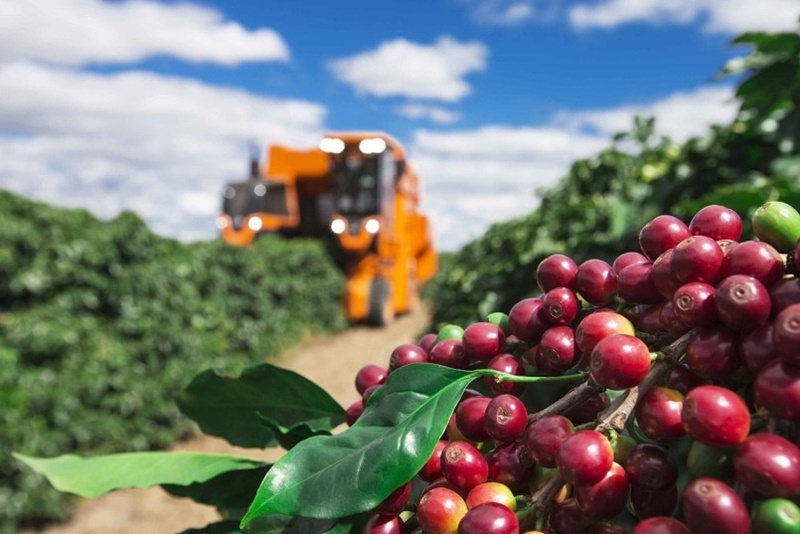 CAFÉ: Produção estagnada na Colômbia abre oportunidades no Brasil