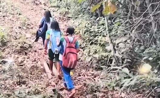 ACRE: Presença de onça ameaça ano letivo de alunos do interior