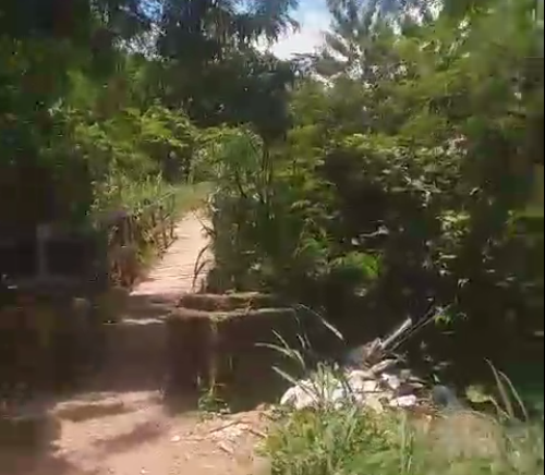 PEDIDO DE PROVIDÊNCIA: Moradores pedem por limpeza de matagal ao redor de ponte