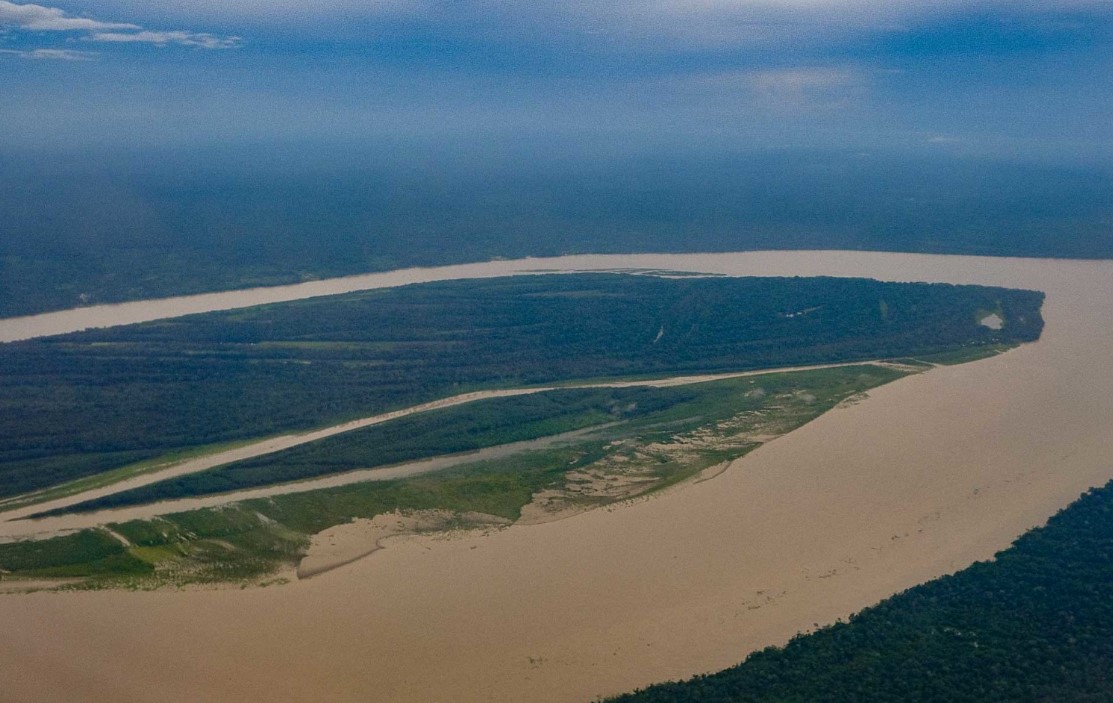 DIA DO MEIO AMBIENTE: MapBiomas indica que o desmatamento cai em todos os biomas do Brasil