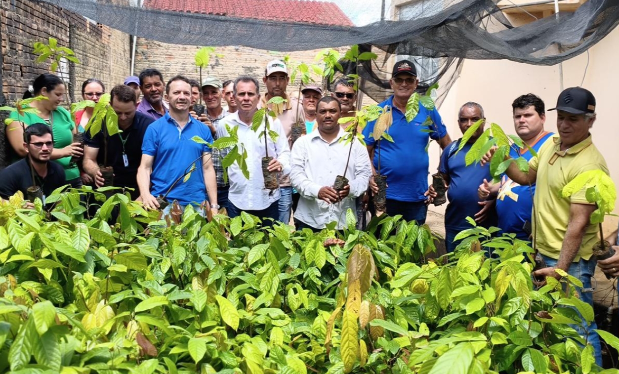 ALAN QUEIROZ: Deputado entrega 3 mil mudas de cacau para produtores de Buritis