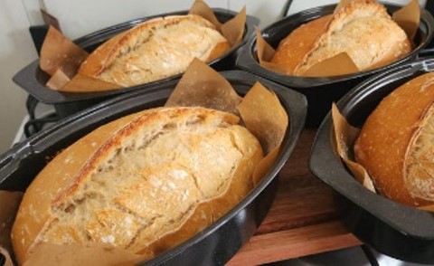 4 INGREDIENTES: Esse pão não precisa sovar e tem essa casquinha crocante