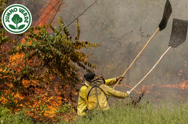 MEIO AMBIENTE: Governo sanciona Lei que altera contratação de brigadistas