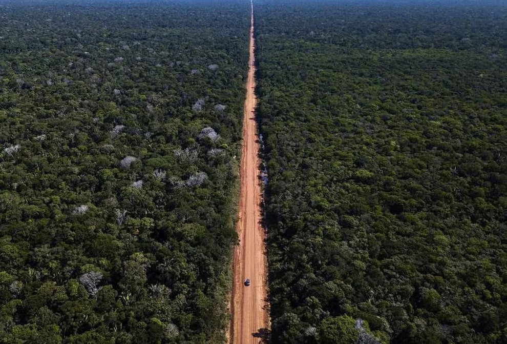 PRESERVAÇÃO: TCU mantém licença para obras na BR-319 e cobra cuidado com meio ambiente