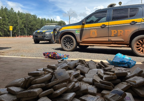 SKUNK: PRF apreende mais de 160 kg de entorpecente na BR 174