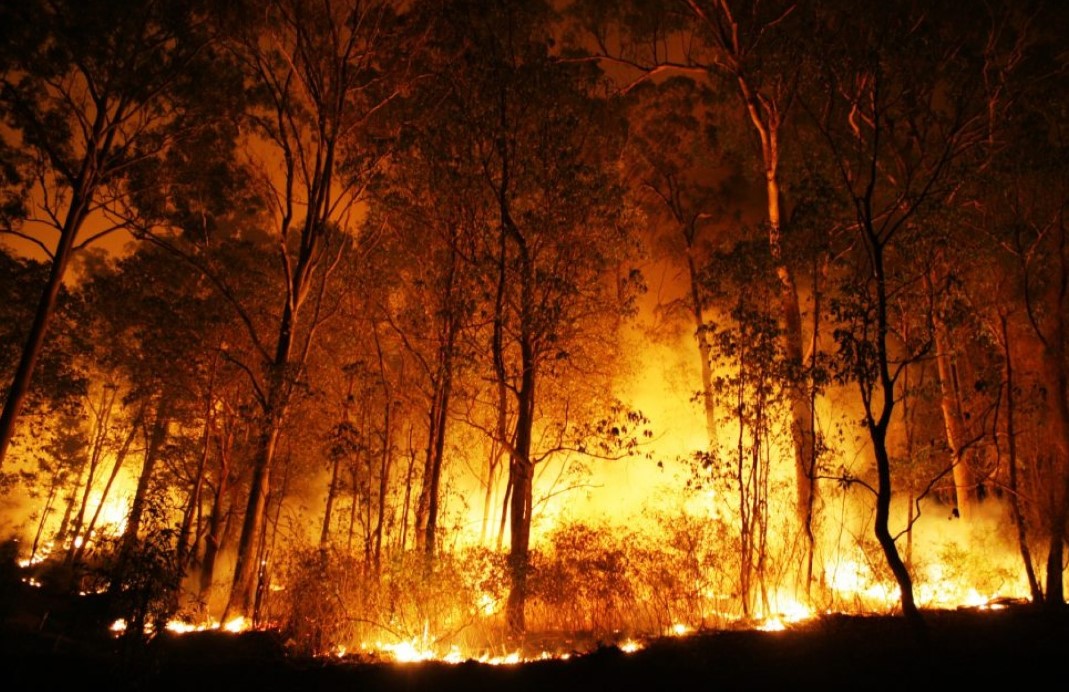 CONSCIENTIZAÇÃO: Ação educativa alerta população sobre prevenção de incêndios florestais