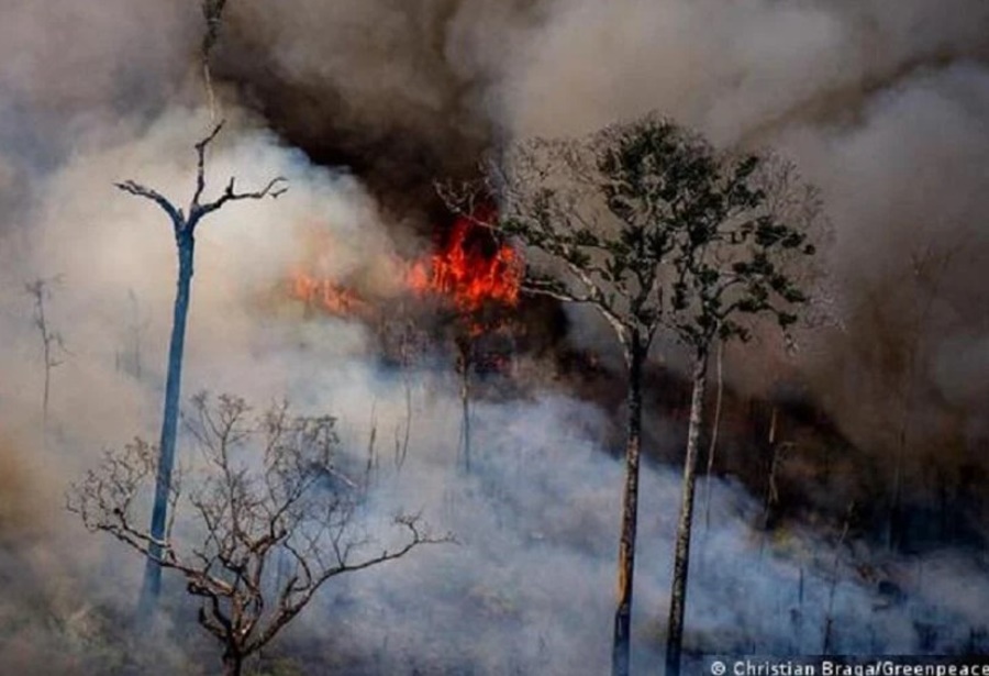 DEVASTAÇÃO: Amazônia tem 8% mais incêndios em julho em relação a 2021