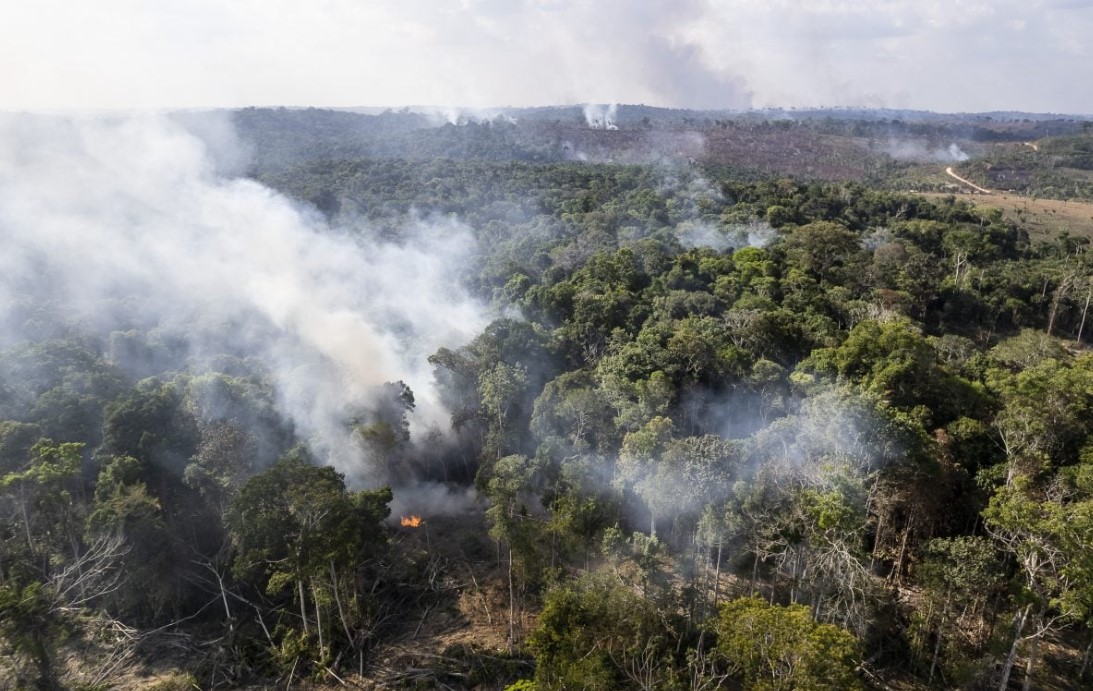 AMAZÔNIA: Preso acusado de liderar grupo responsável por queimadas e desmatamento