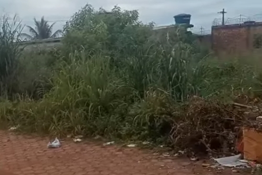 PEDIDO DE PROVIDÊNCIA: Moradores denunciam lixão a céu aberto atrás de escola no bairro JK II, em PVH