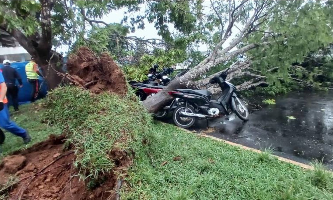 VILHENA: Vendaval provoca destruição e impede aeronave de pousar no município