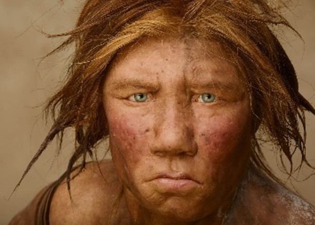 HÁ 40 MIL ANOS: Qual era a cor dos cabelos, olhos e pele dos neandertais?