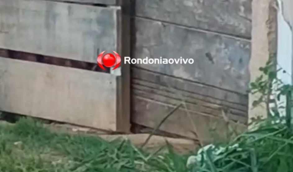 VÍDEO: Pitbulls fogem de residência e atacam casal de idosos na zona Leste