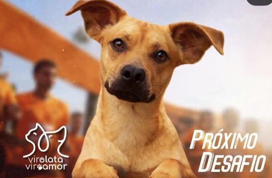 SOLIDARIEDADE: Corrida dos Vira-Latas acontece em Cacoal