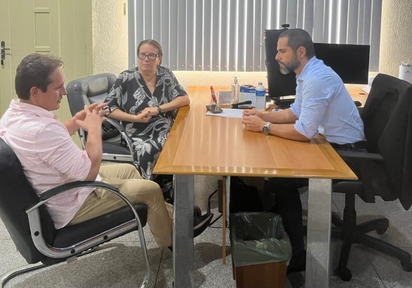 ELLIS REGINA: Vereadora cobra solução para desconto indevido de Imposto de Renda dos servidores