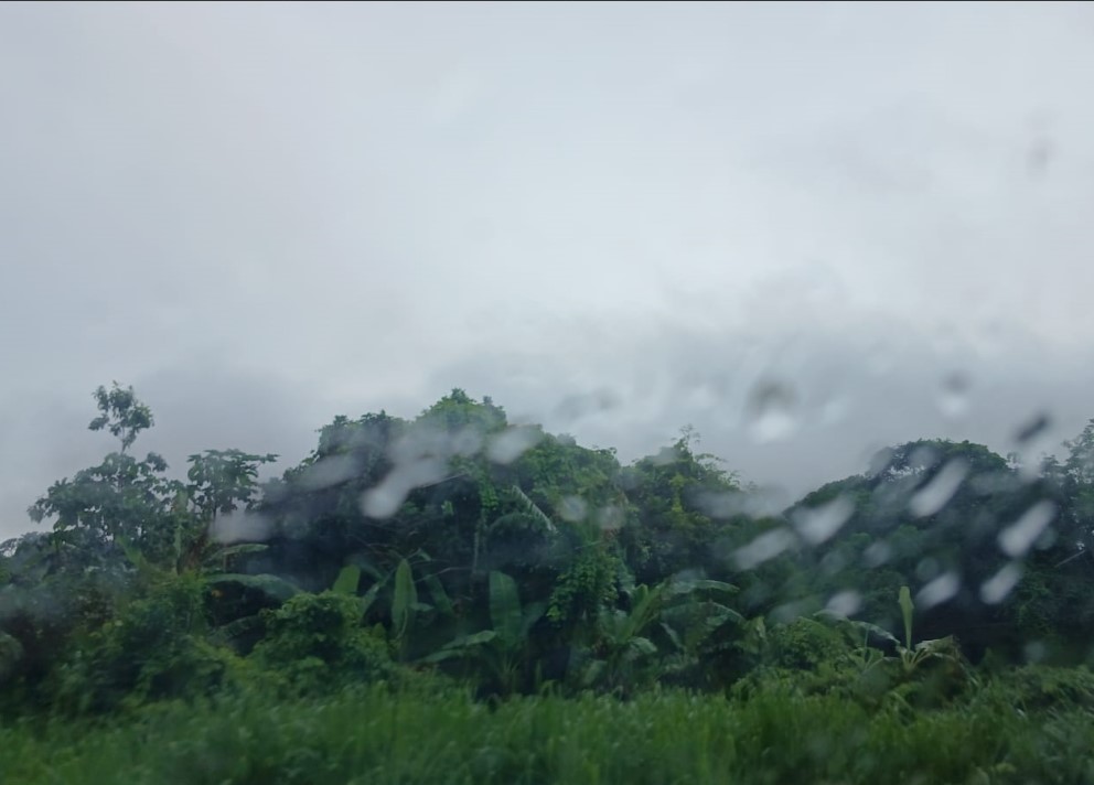 MOLHADO: Pancadas de chuva e trovoadas para Rondônia nesta terça-feira