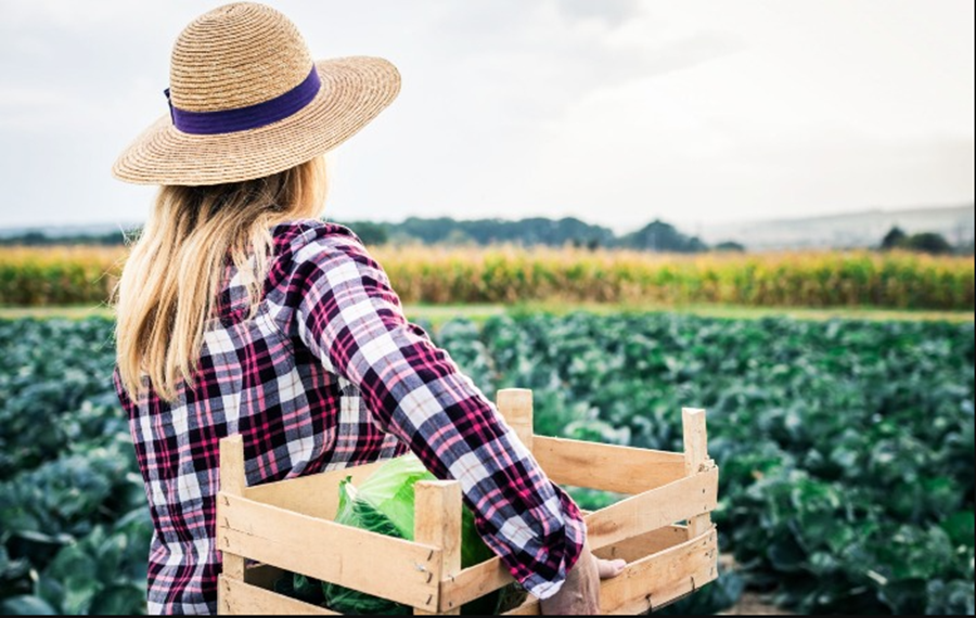 ELAS: Mulheres do agronegócio tem até R$ 400 mil para investimentos