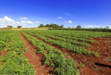 JUSTIÇA: MPF assegura moradia de famílias assentadas em área de litígio