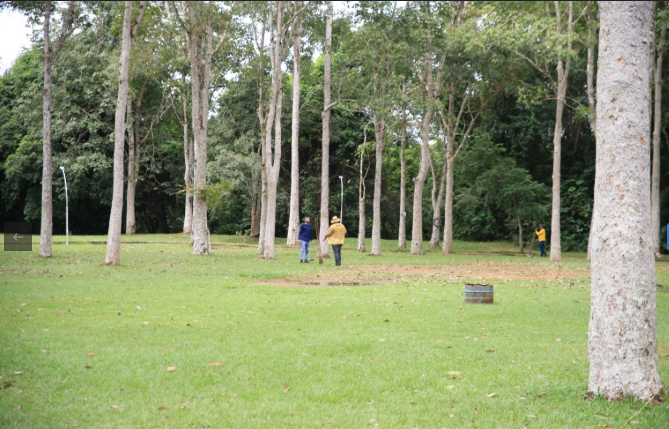 SUSTENTABILIDADE: Porto Velho cria novas regras para cuidar das árvores e fauna da cidade