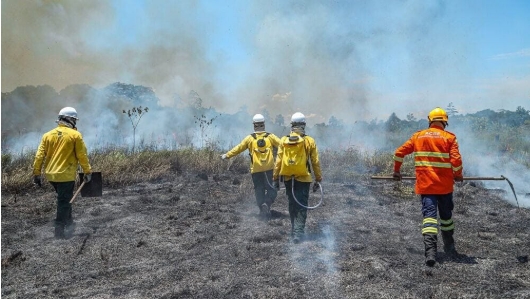 ACRE: Inscrições abertas para brigadistas florestais com  bolsa de até R$ 2 mil