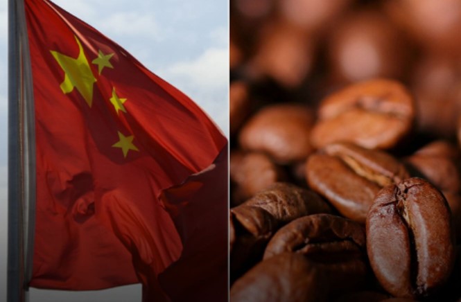 MUITA TROCA COMERCIAL: China faz elogios ao café brasileiro e aumenta a compra 