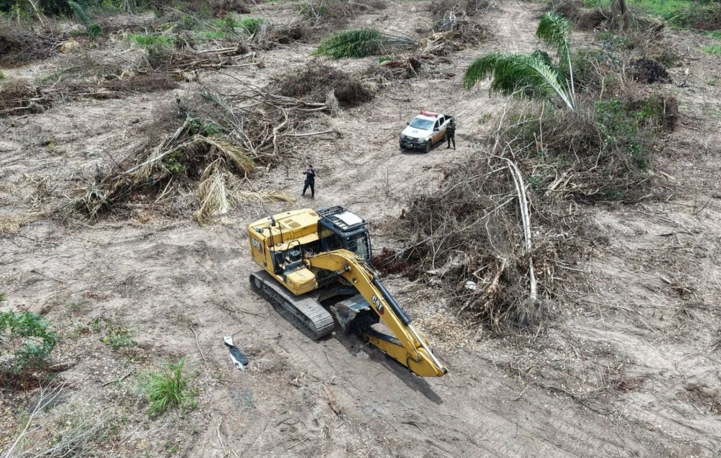 AÇÃO CONJUNTA: PM apreende escavadeira e combate desmatamento ilegal em RO
