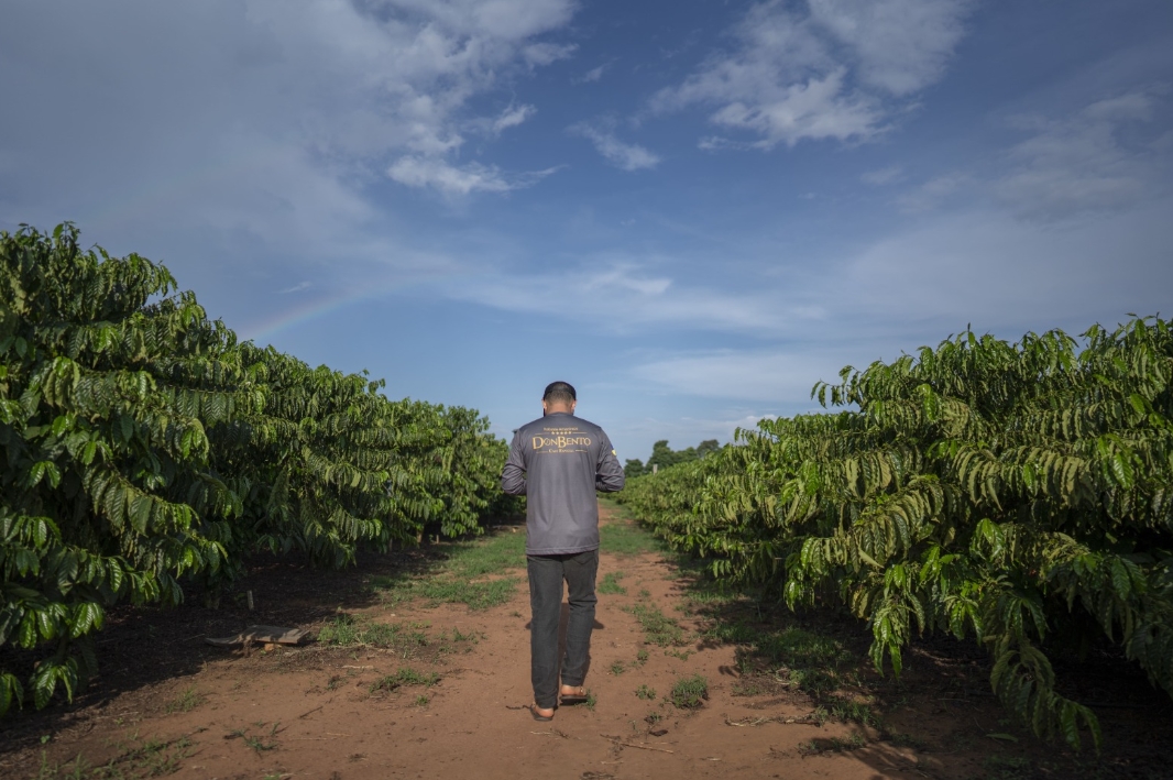 EM RO: Agricultores familiares apontam caminhos para produção sustentável de alimentos