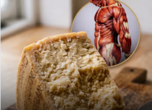 EQUILÍBRIO: Queijo parmesão age como a barra de proteína saudável e sem adição de açúcar