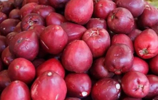 JAMBO: A fruta tropical que ganha destaque como aliada da saúde do coração