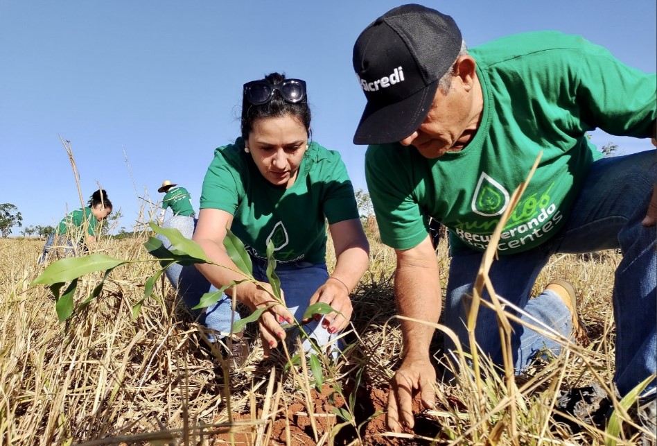 COP 30: Sicredi apresenta diversas iniciativas ligadas à sustentabilidade e inclusão