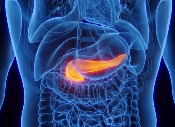 COMPORTAMENTOS: Gastroenterologista aponta hábitos que prejudicam o pâncreas