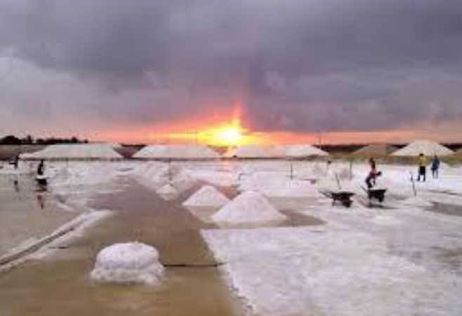 SALINAS: Região do RN produz 95% do sal do Brasil e sustenta polo estratégico nacional