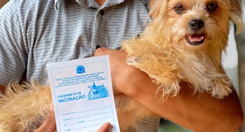 PREVENÇÃO: Porto Velho terá 102 pontos de vacinação antirrábica