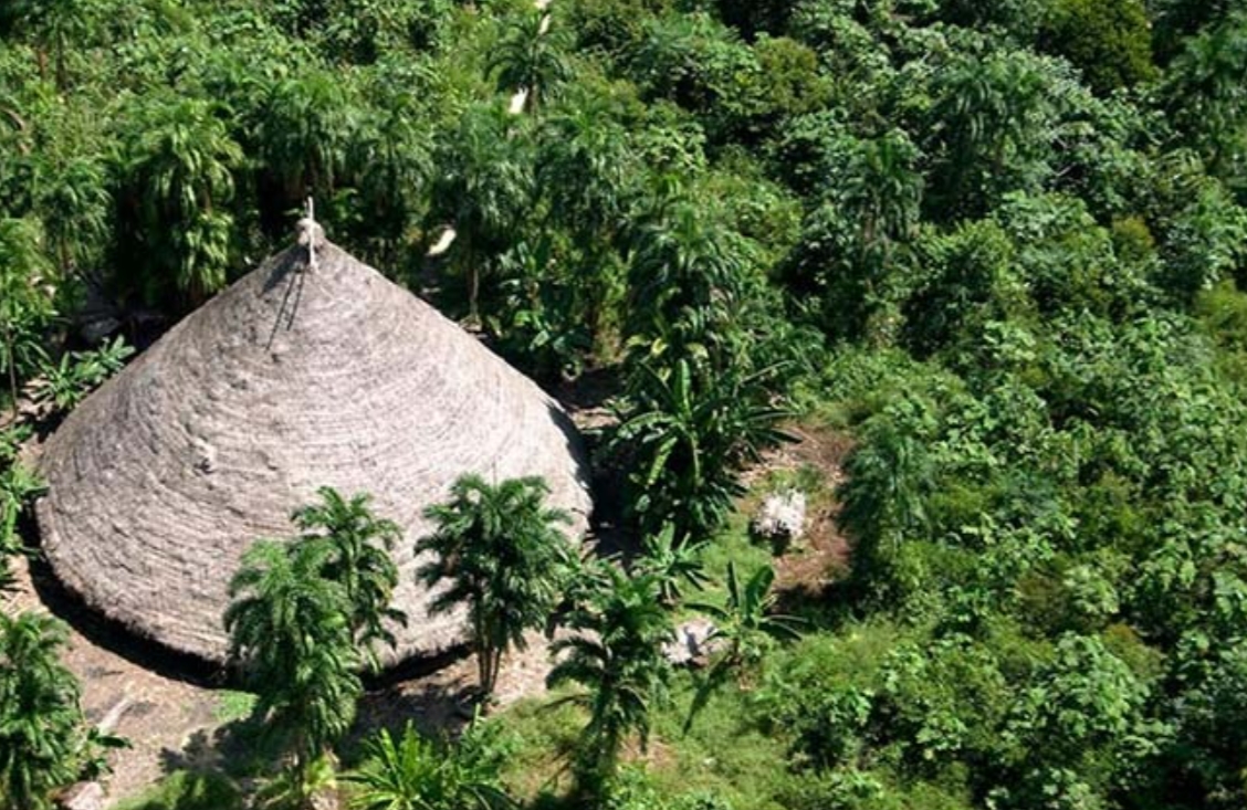 'RIO OMERÊ': MPF pede condenação do Banco do Brasil por financiar atividade pecuária em TI
