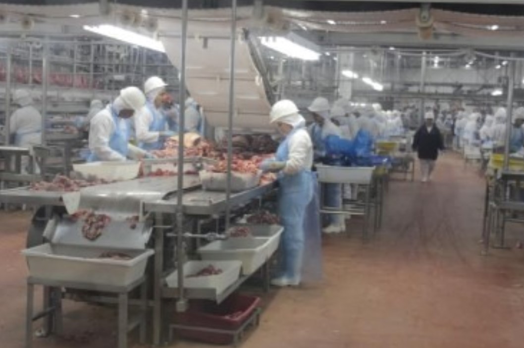 FRIGORÍFICOS: Tarifaço de Trump pode impactar empregos em Rondônia