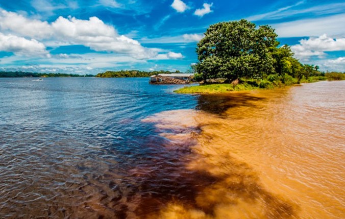 'BRASILZÃO': Vitrines do turismo no Norte registram aumento de visitantes internacionais